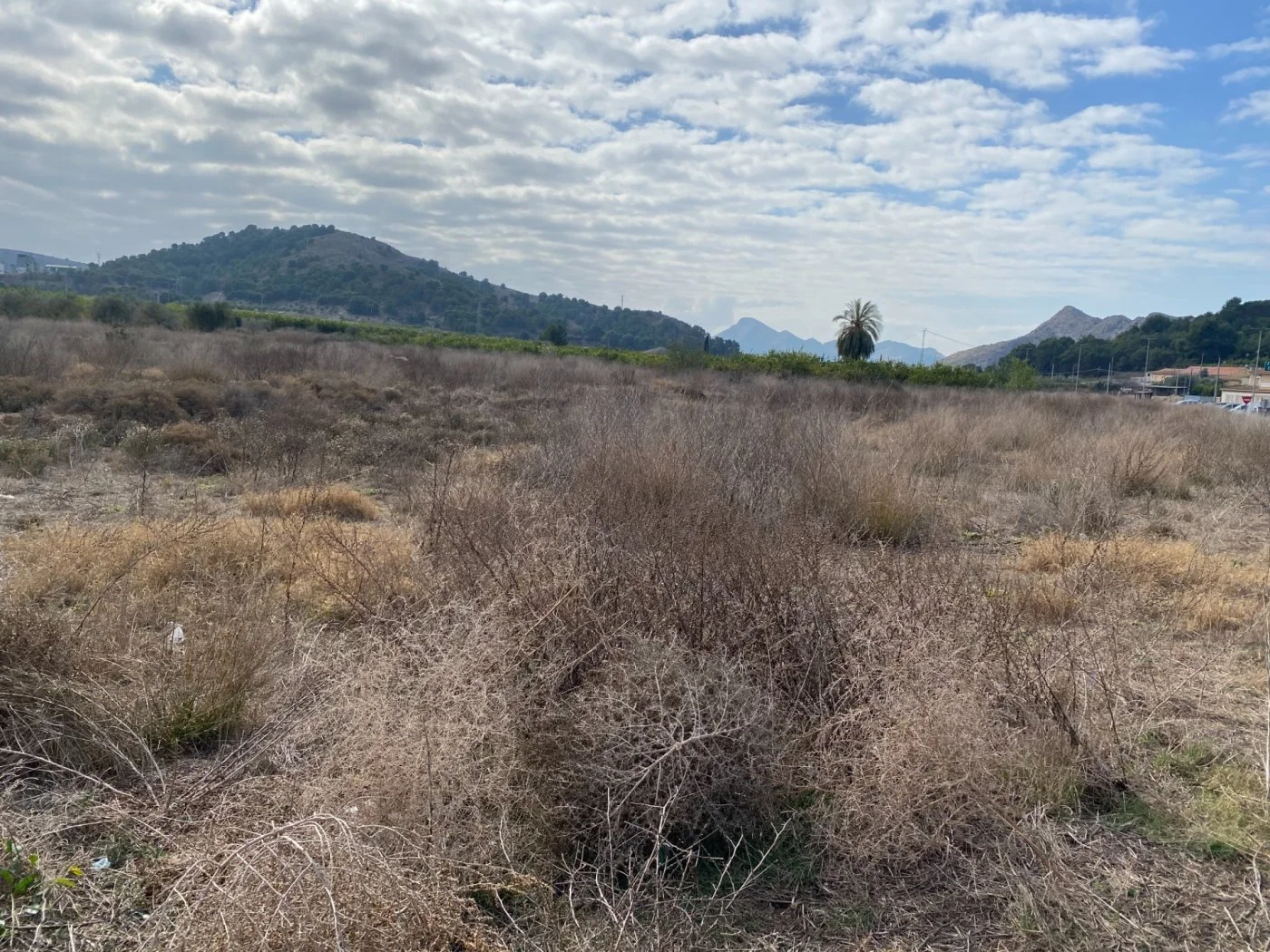 Developable industrial land with 2,000 m²