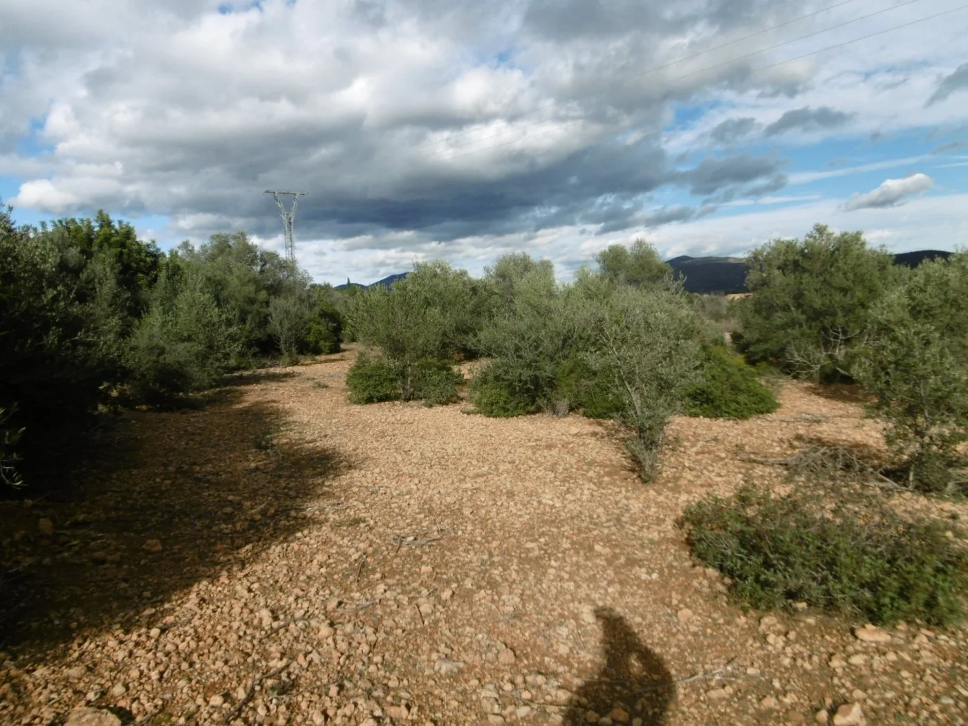Flat rural plot near Useres