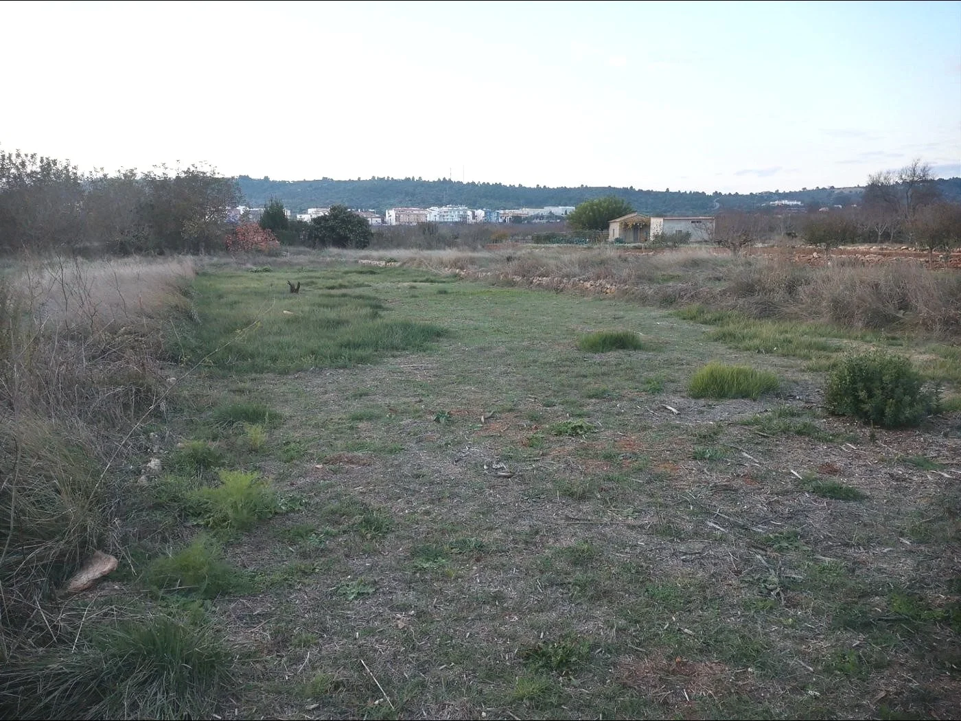 Terreno rural con derecho a riego