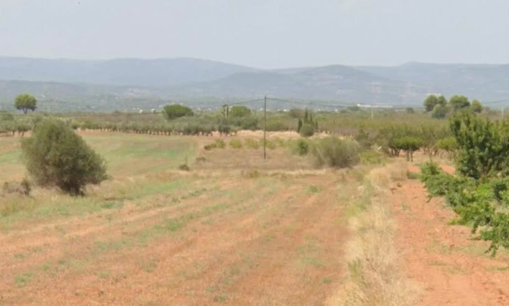 Rustic vineyard land near Vilafames