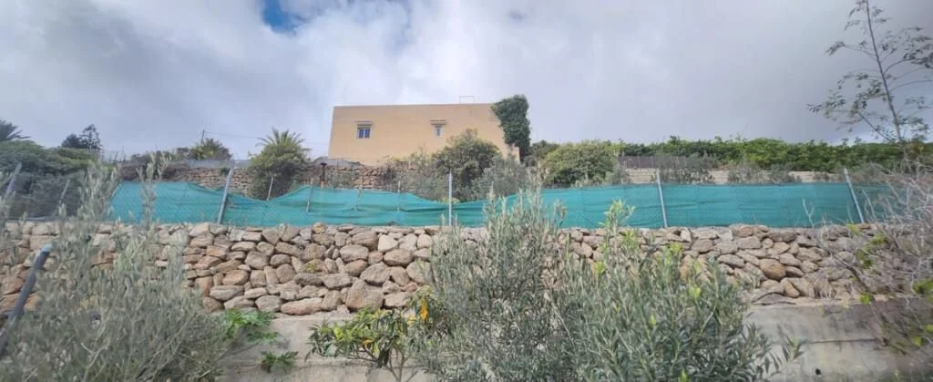 Rural finca with caves and house in Fasnia
