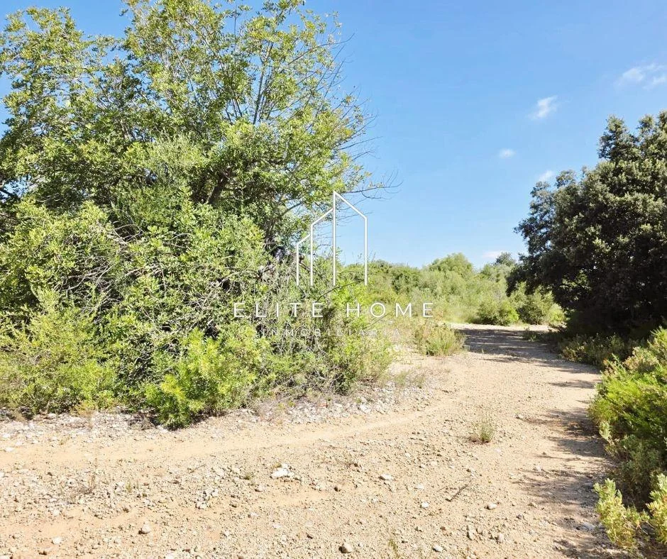 Rural plot with future housing potential