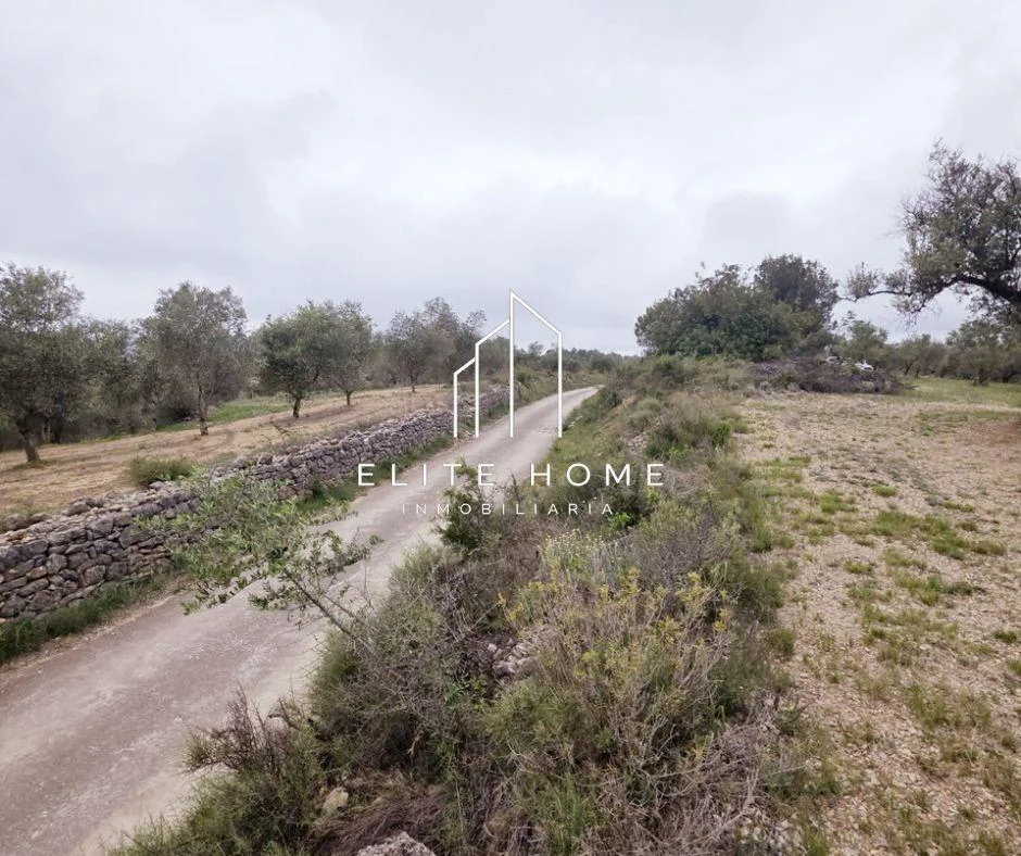 Finca de olivos productiva cerca de Sant Mateu