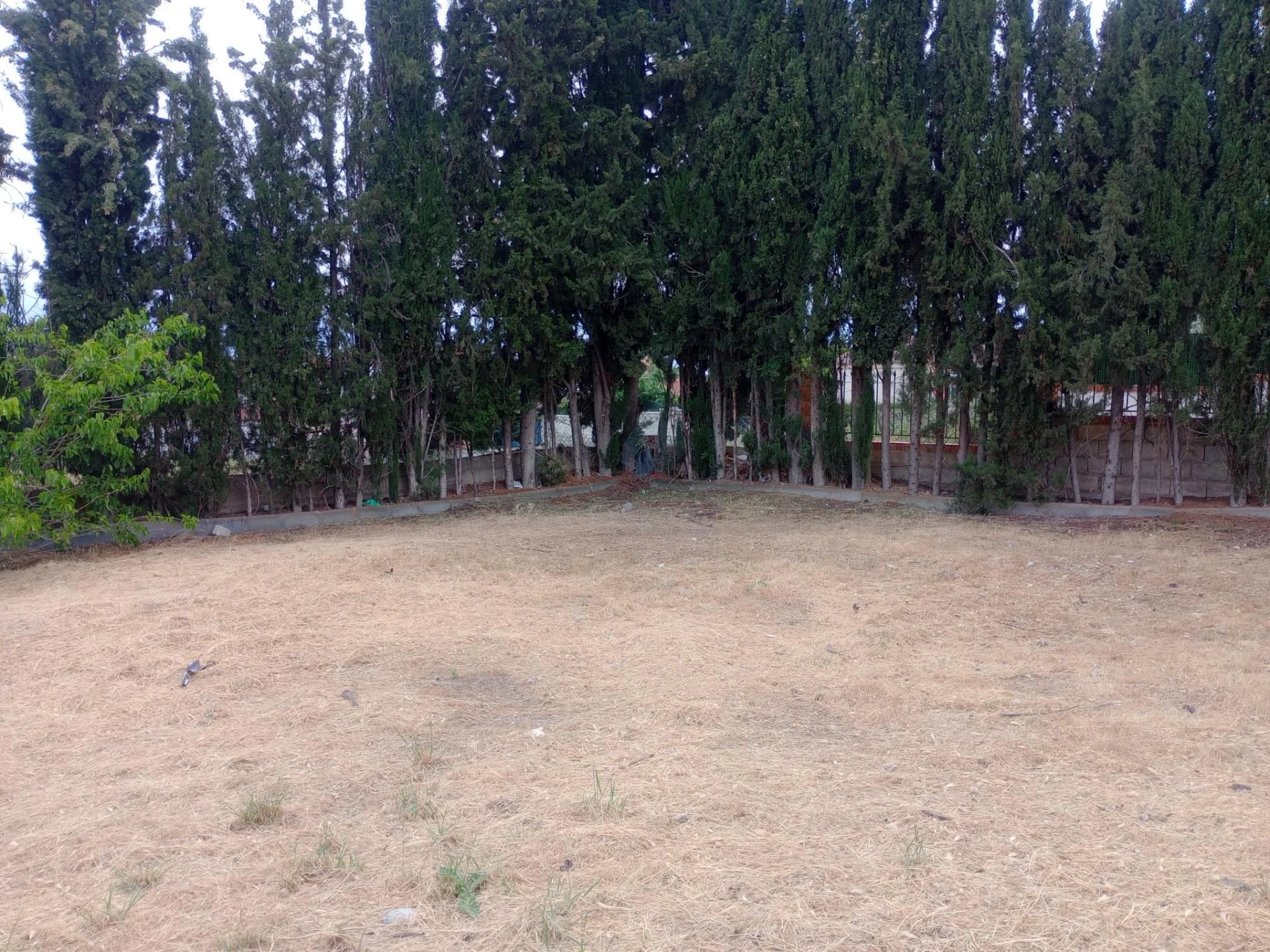 Urban plot in El Ventorrillo, 300 m²