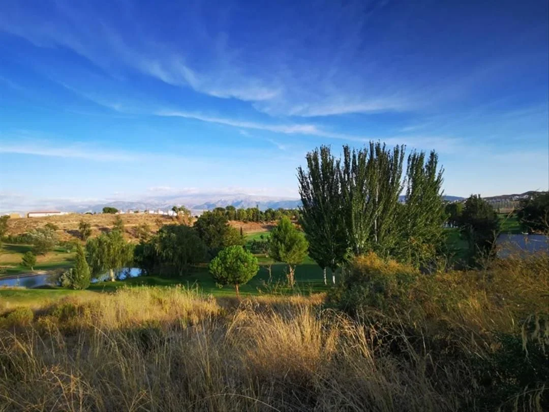 Large rural plot facing golf course
