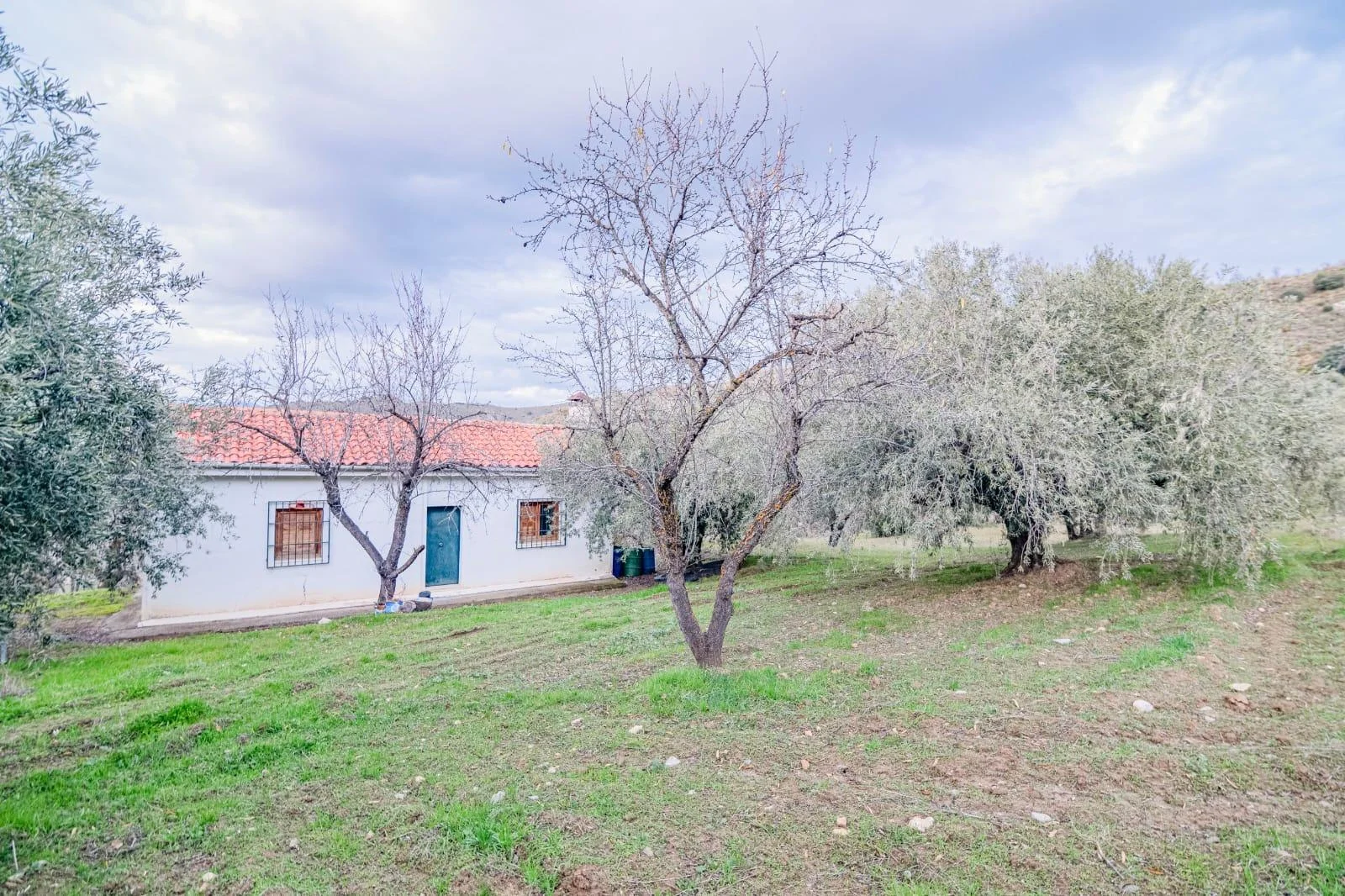 Rural plot, legalised 71 m² dwelling