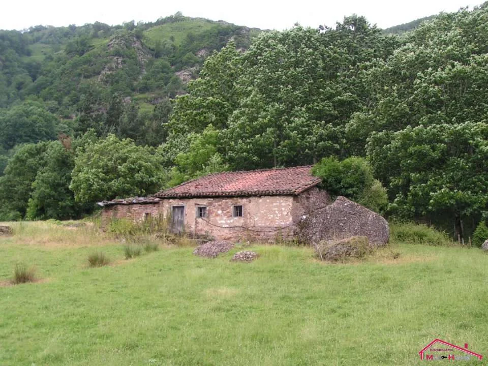 Rural farmhouse with 37,000 m² land