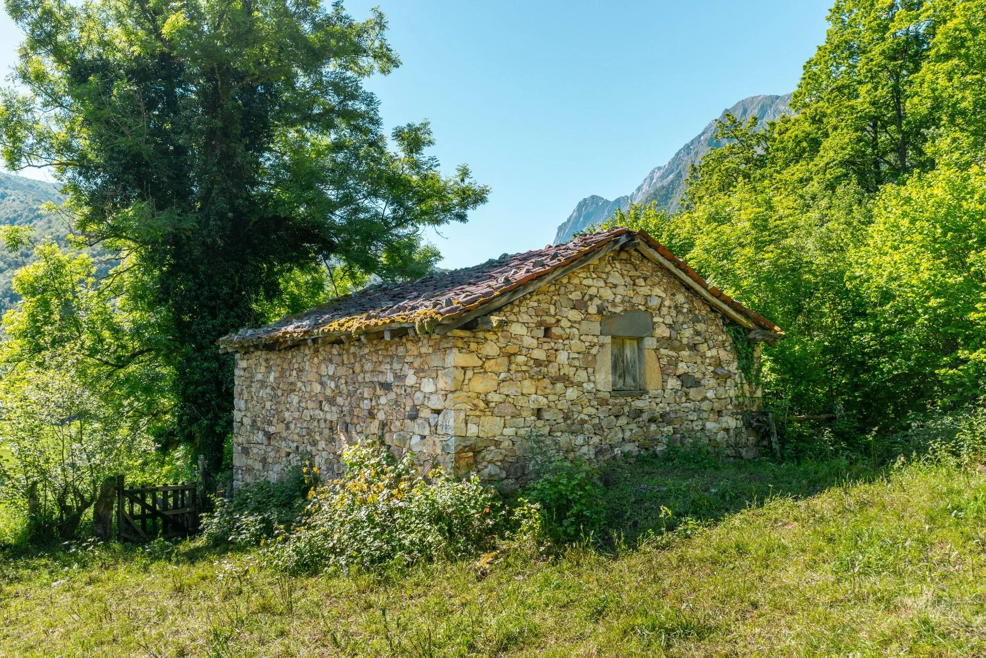 Asturian mountain cabin with large land