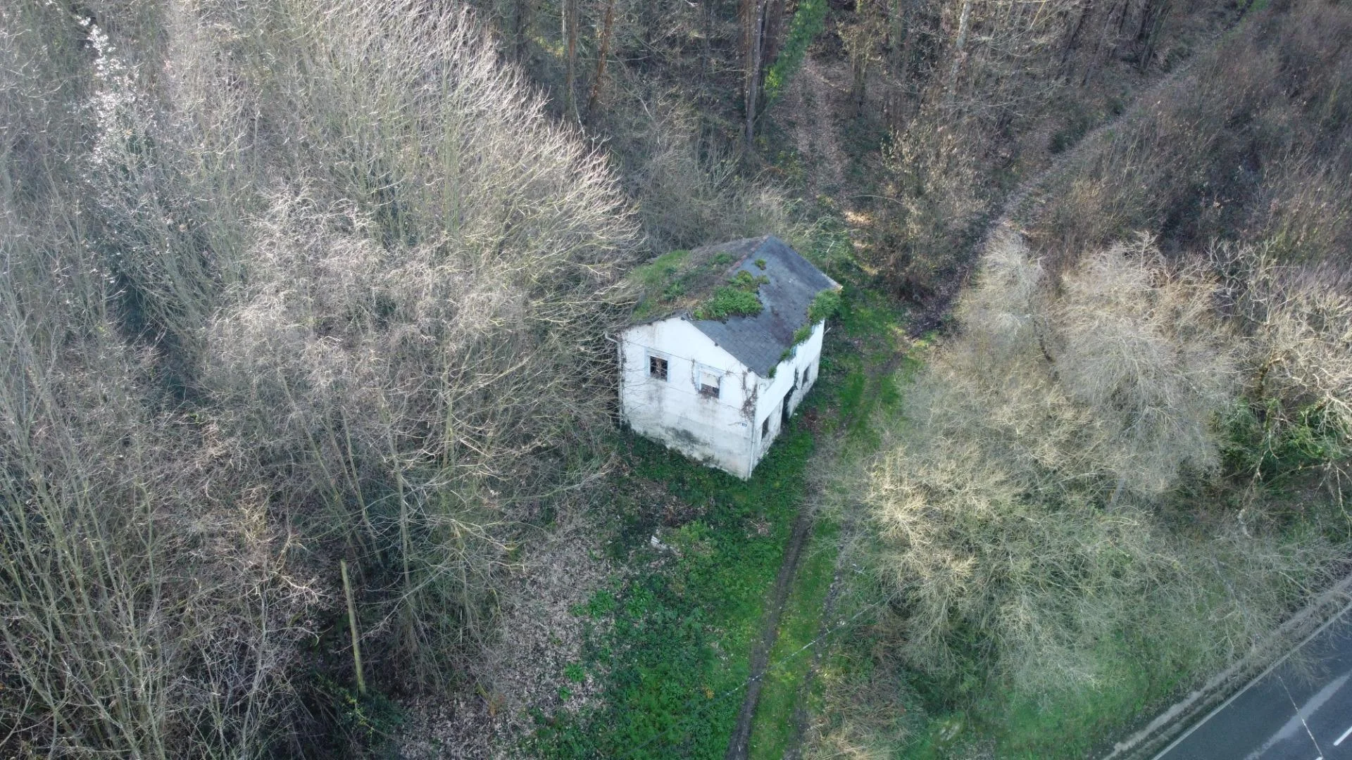 Rehabilitation house with private plot