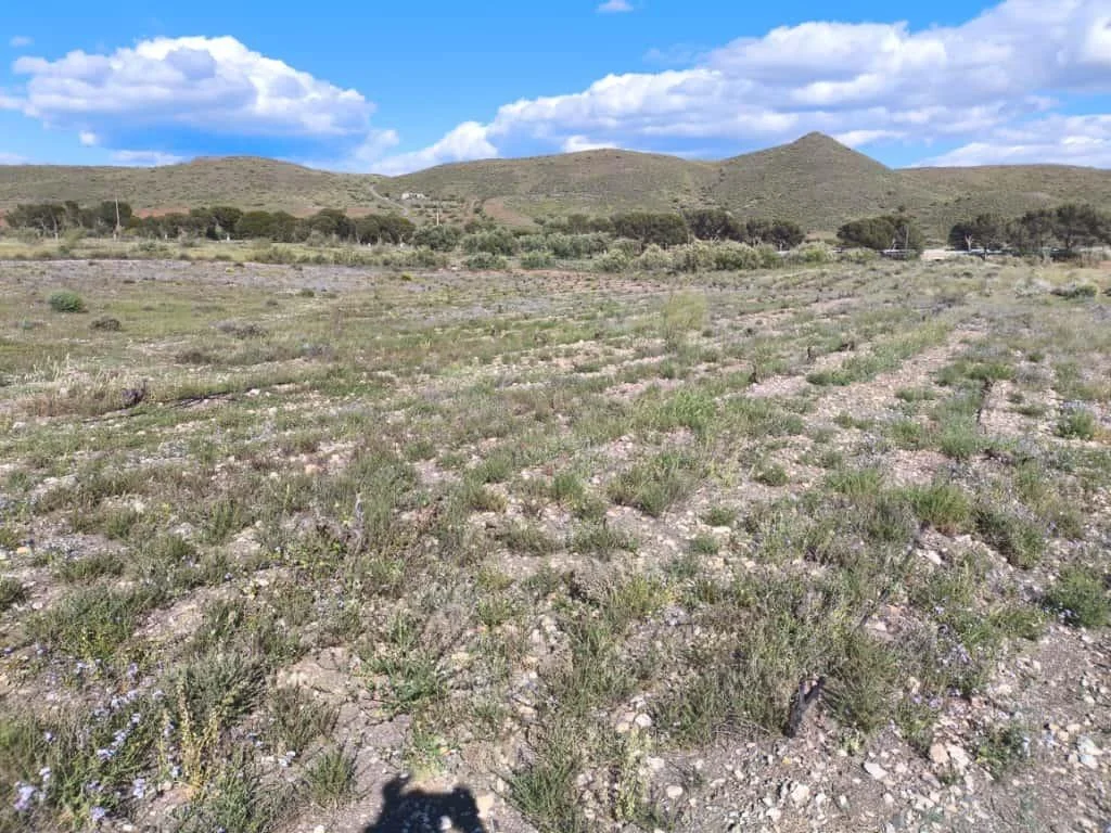 Terreno rústico cerca de Alboloduy, 8.600 m²