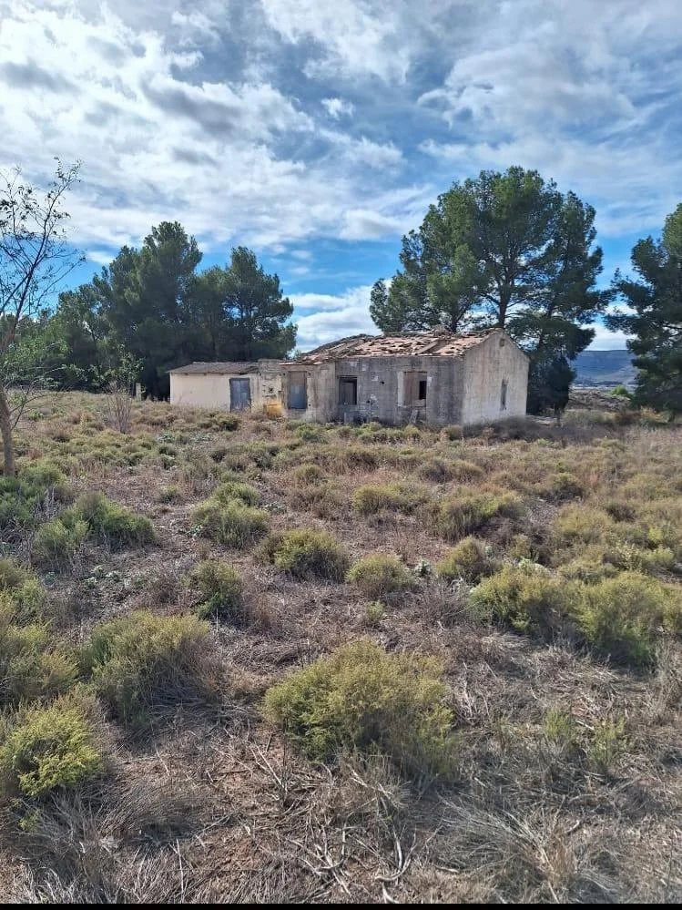 Rural land with shelter near Villena
