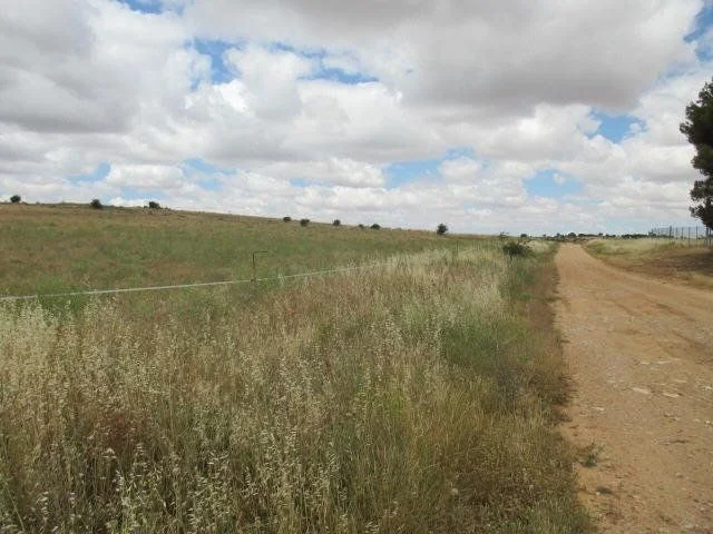 Developable Horche plot, 1,681 m²