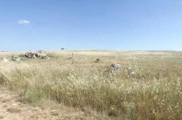 Developable Horche plot, 367 m²