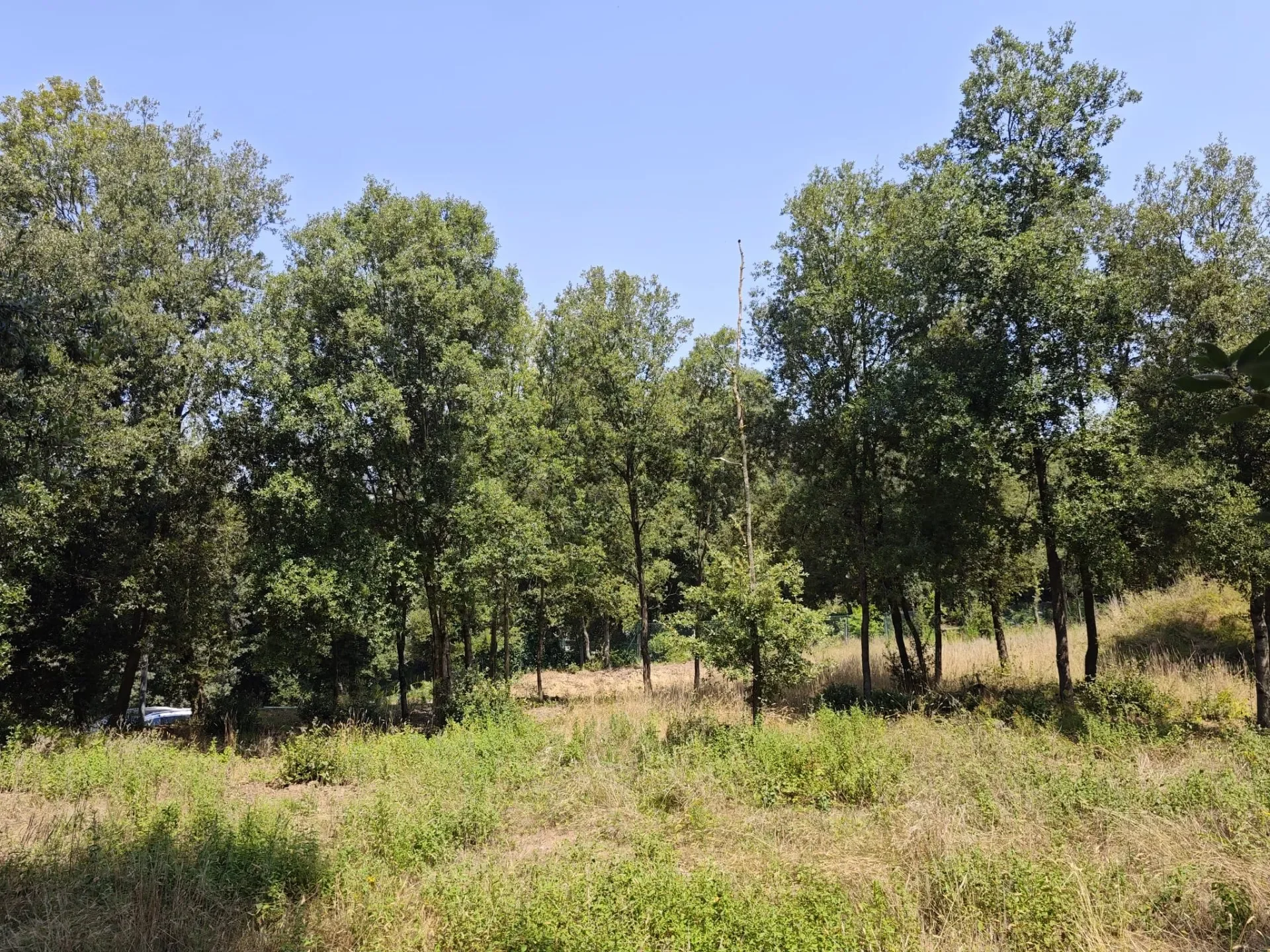 Flat buildable plot with house project