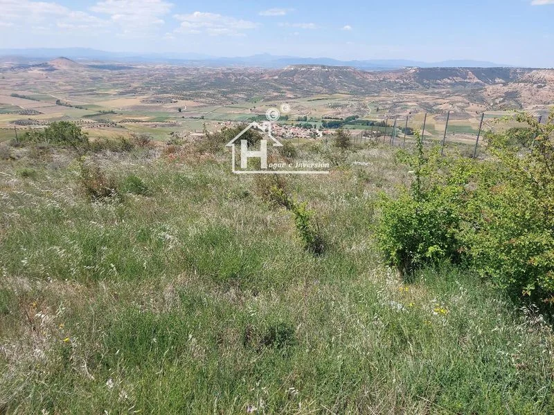 El Mirador edge plot with views