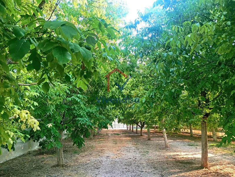 Rustic Horche plot with 1,724 m²