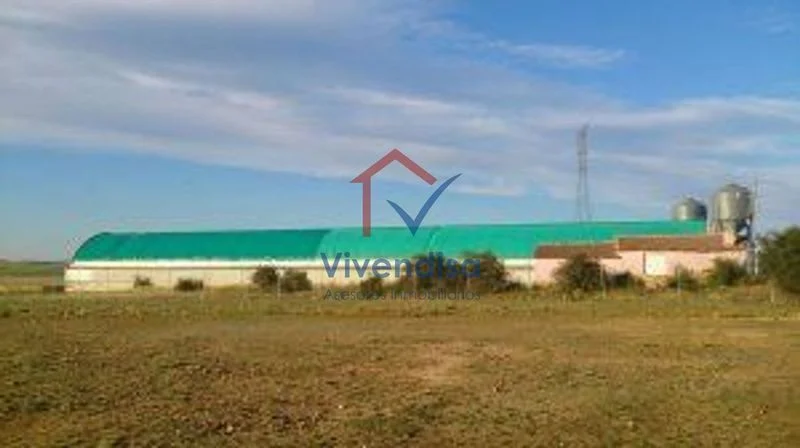 Industrial warehouse with 4,000 m² plot