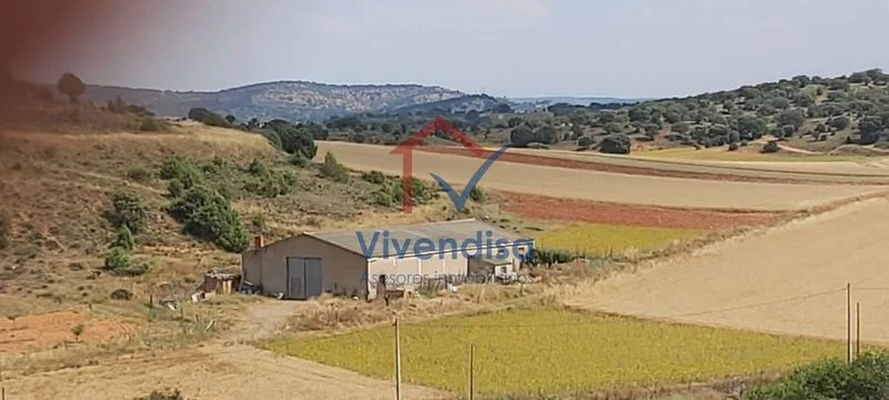 Agricultural nave with 4,500 m² plot