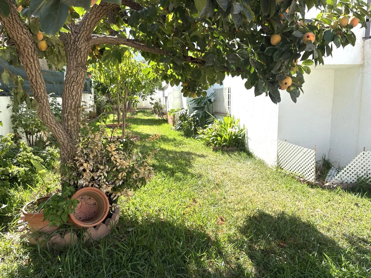 Casa luminosa de cuatro dormitorios con potencial