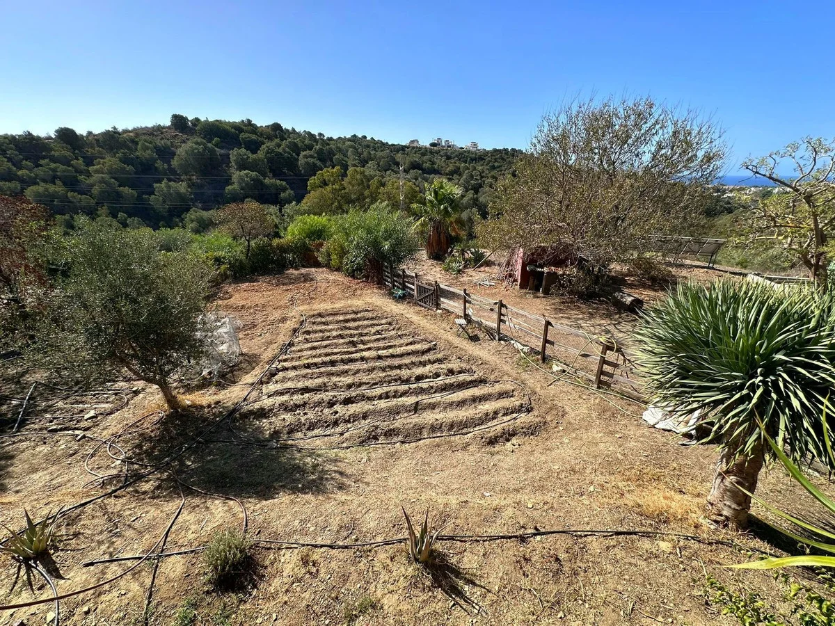 Rustic Cabopino land with development upside