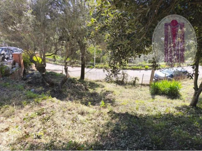 Solar urbano residencial de 821 m²
