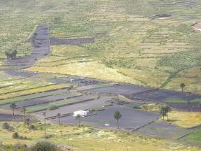 Rustic Haría plot with well