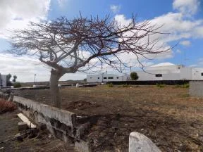 Urban Muñique plot with broad views