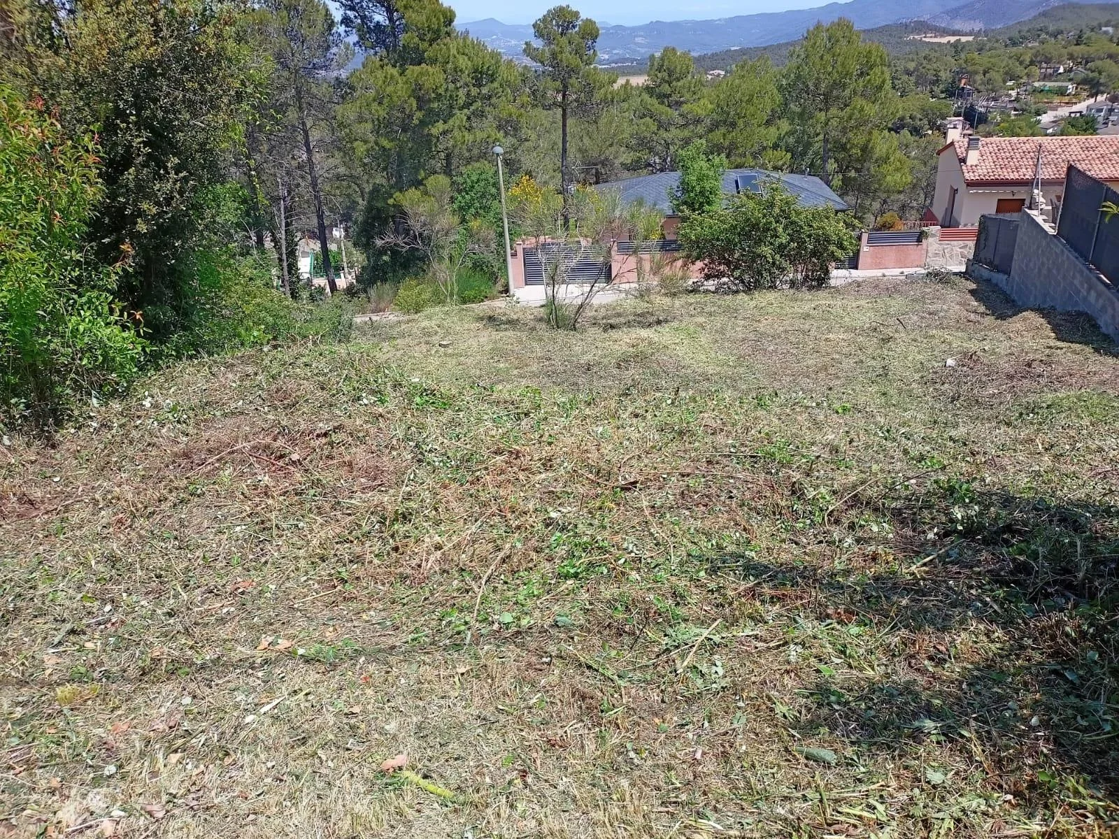 Urban plot in Font del Bosc
