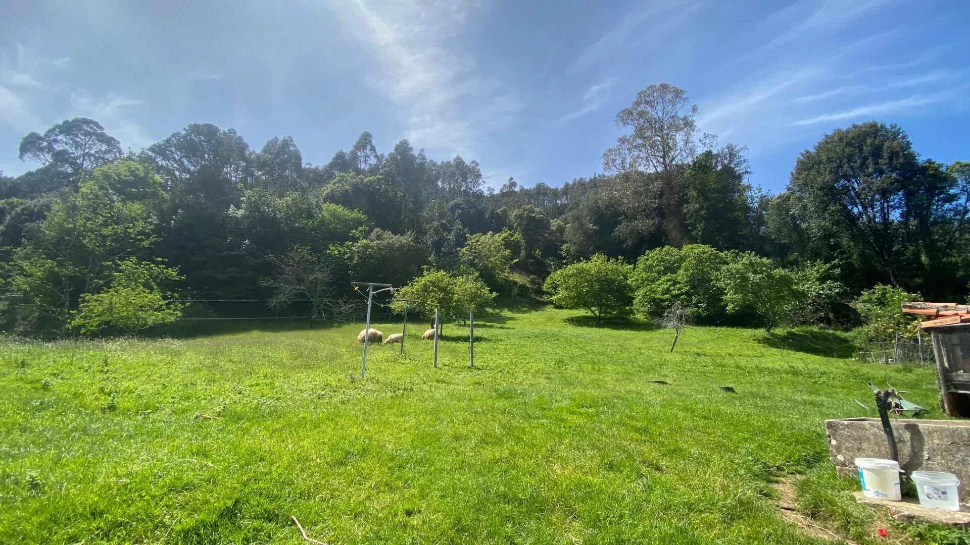 Buildable Llanes plot with sea views