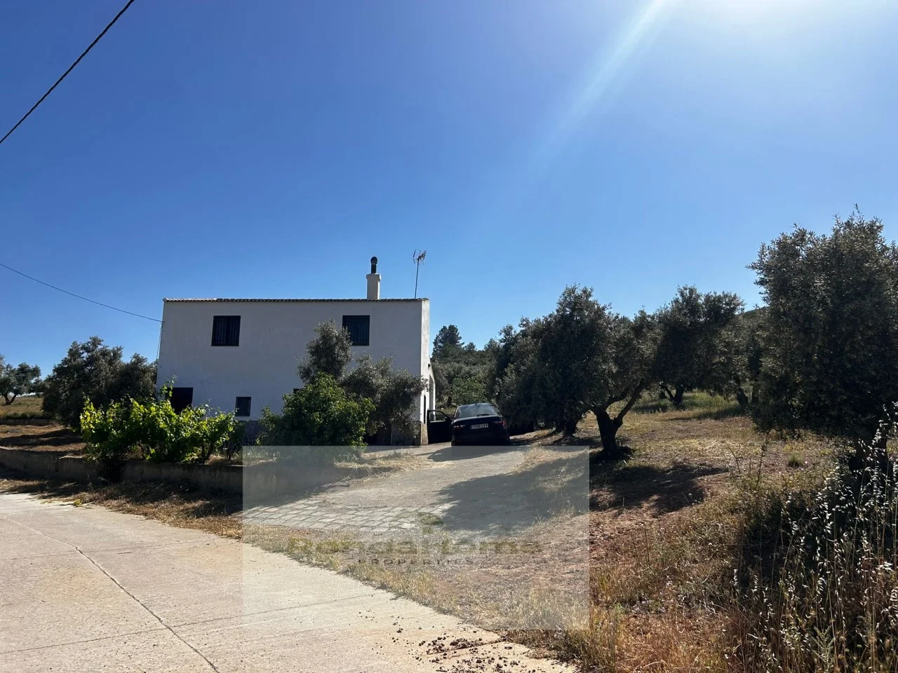 Finca olivarera productiva con vivienda
