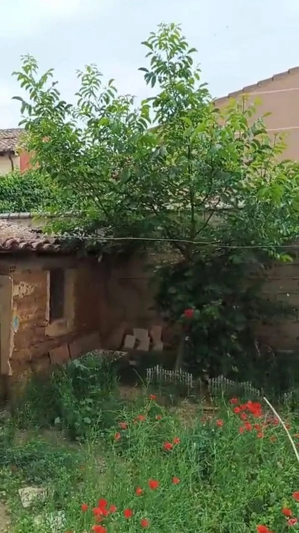 Spacious rural house with renovation potential