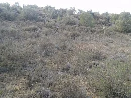Finca rústica en Sarroca, 17.000 m²