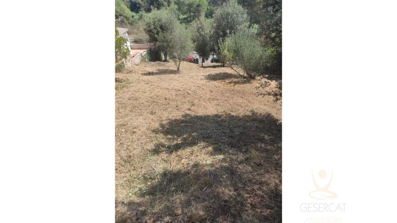 Developable land in Rubí district