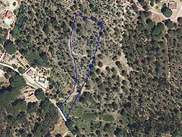 Rural plot in Beas, 7,431 m²