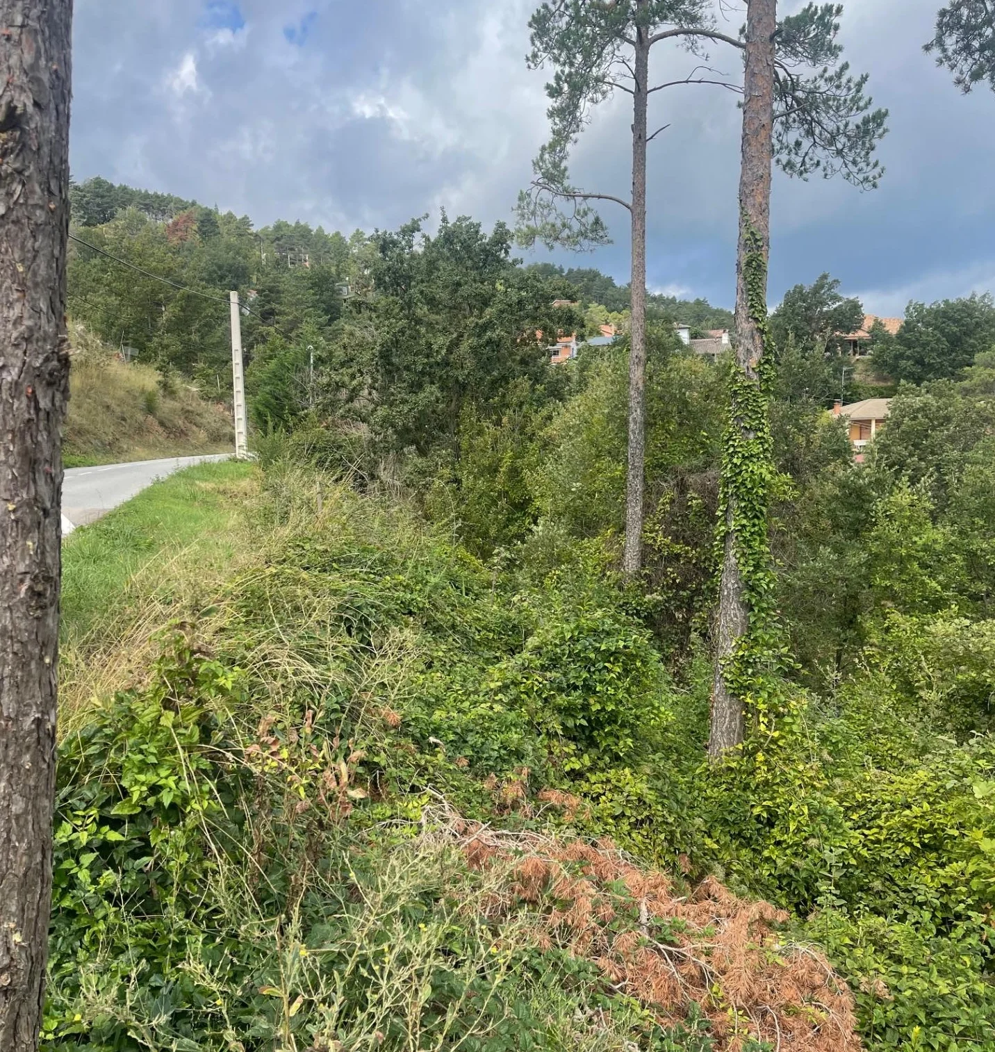 Urban plot in Muntanyola, 828 m²