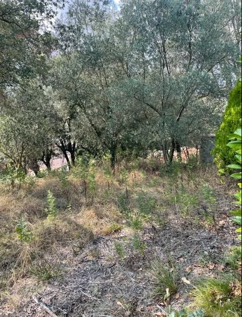 Urban plot near Vic, 852 m²