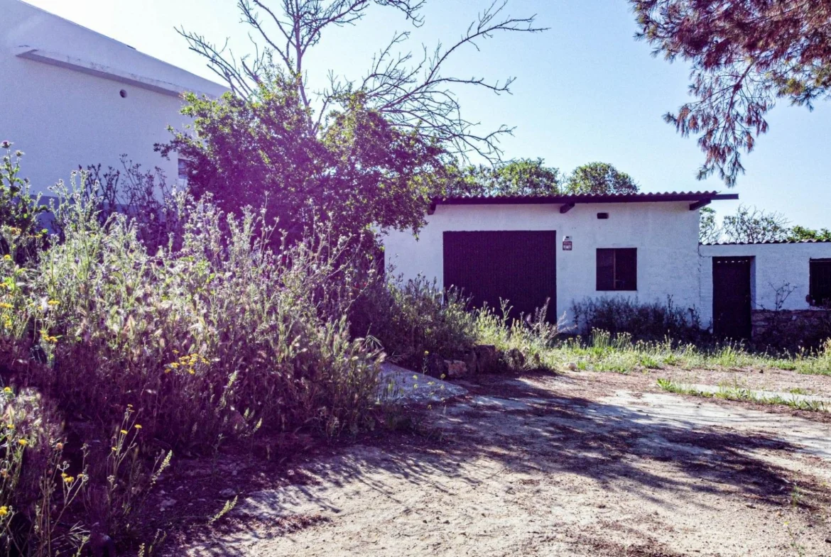 Chalet independiente con parcela de 5.000 m²