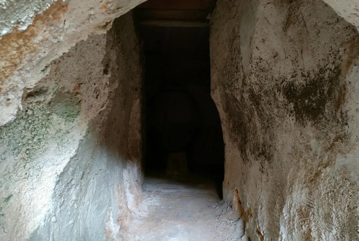 Casa histórica con cueva bodega