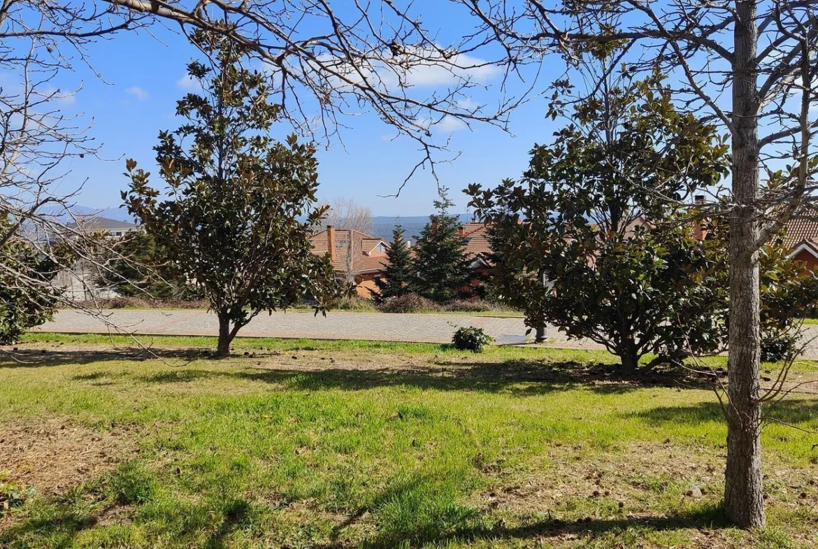 Urban land share in San Lorenzo