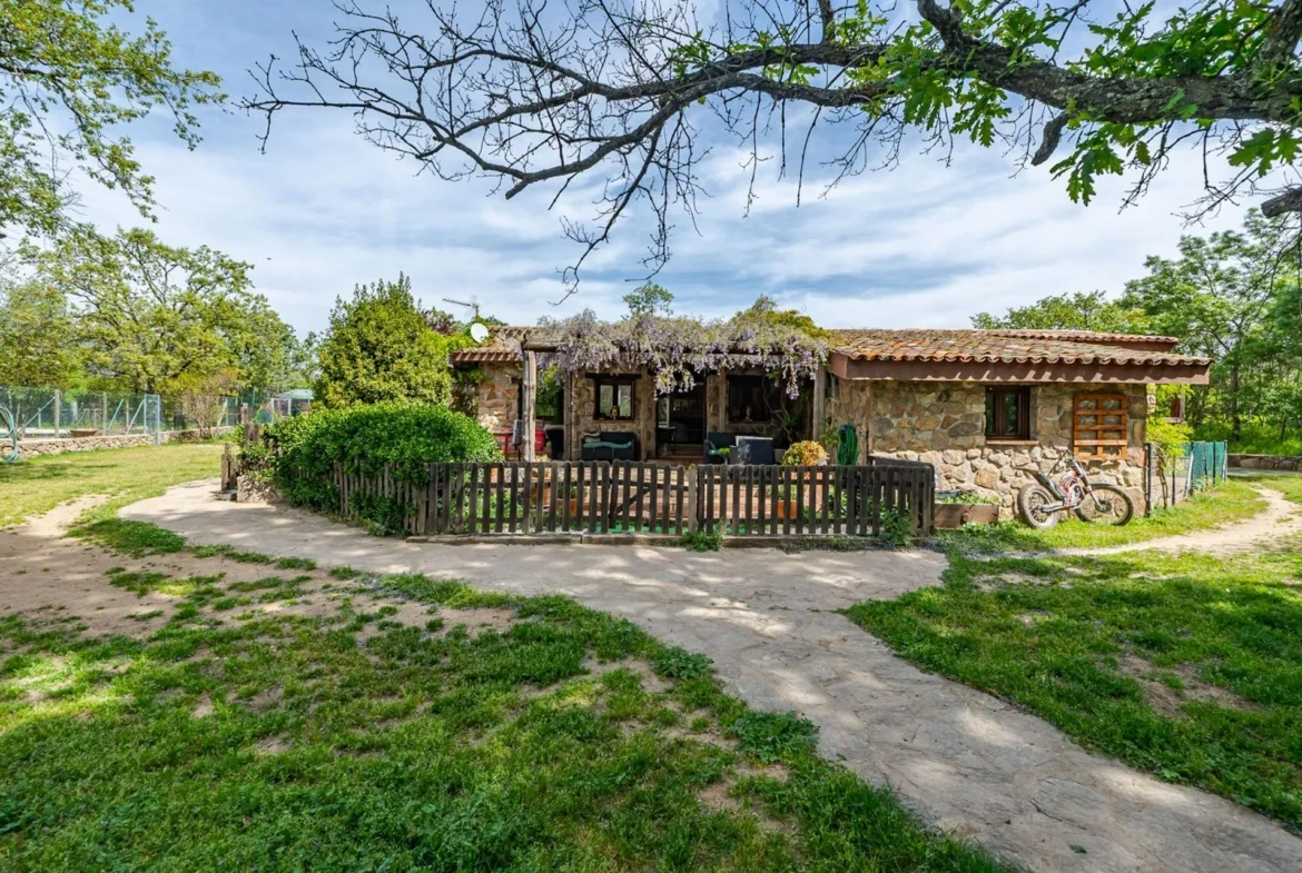 Resort canino de lujo con 25.970 m²