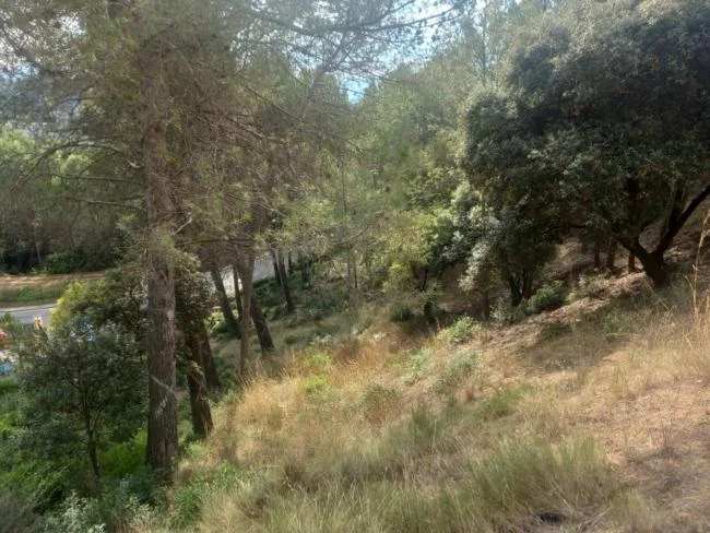 Developable Can Mir plot, 446 m²