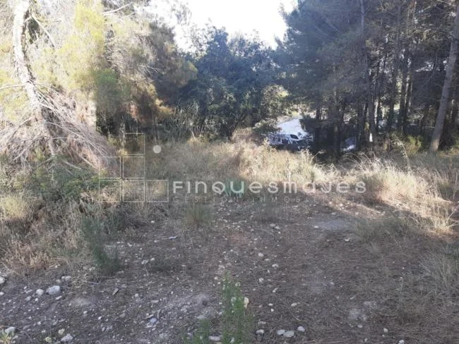 585 m² nature plot in Rubí