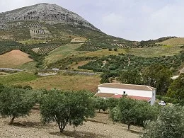 Rural Antequera estate with 75,000 m²