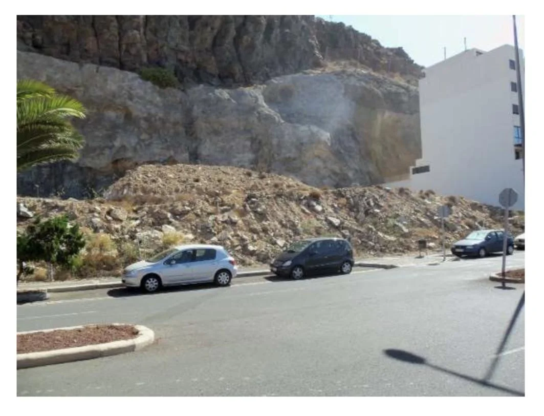 Urban Palm-Mar plot, 2,400 m²