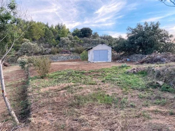 Finca rústica con caseta agraria