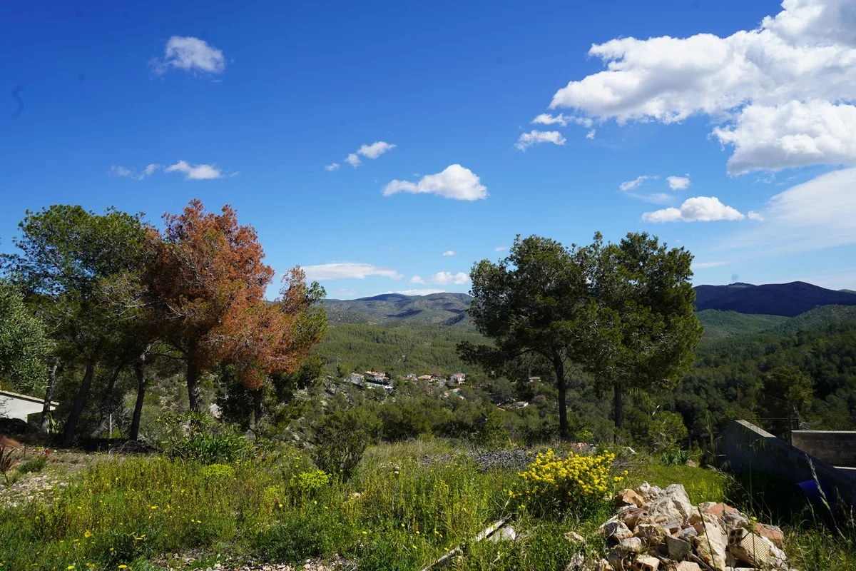 Flat buildable plot in Can Pere