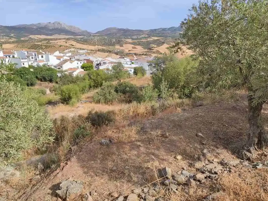 Urban land with approved 55-home project