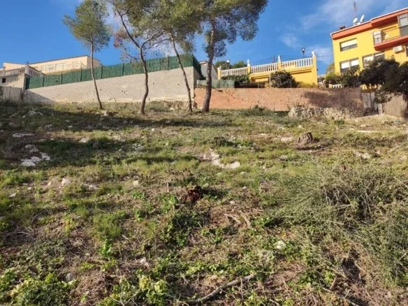 Buildable Mas Trader plot, 708 m²