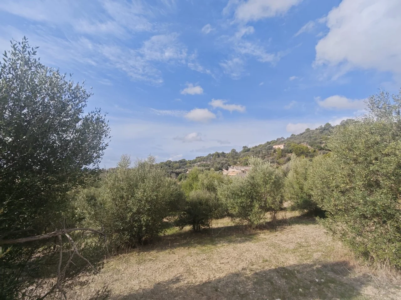 Finca rústica en Selva con 500 m² edificables