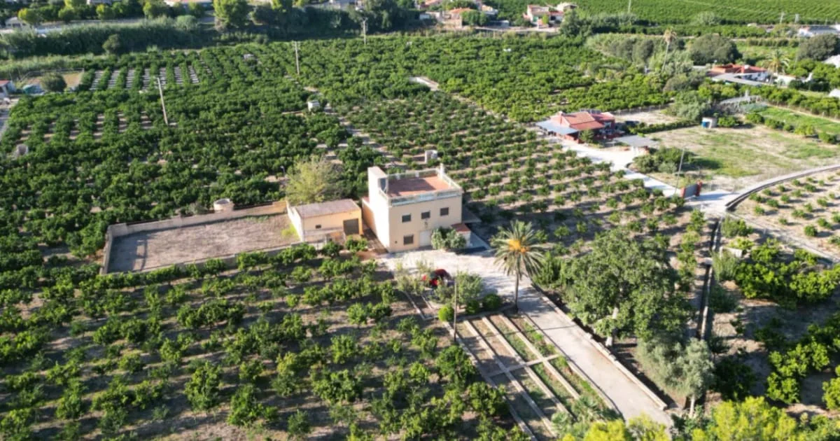 Finca in Beniarbeig, 40,000 m²